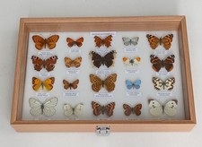 A COLLECTION OF 20 BRITISH