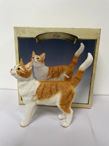 Leonardo ginger tabby - leonardo,
