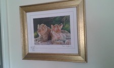 TIGERS ,STEPHEN GAYFORD  PRINT