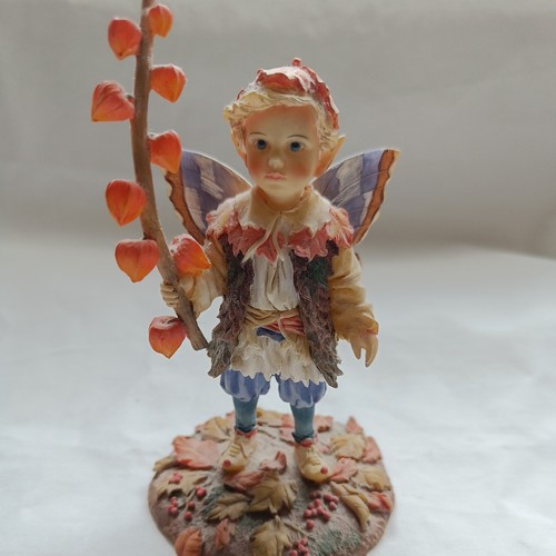 Elfin lanterns faerie - elfin,