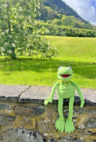 Disney store kermit the frog - kermit,