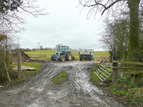 Photo 6x4 turf harvesting - photo,