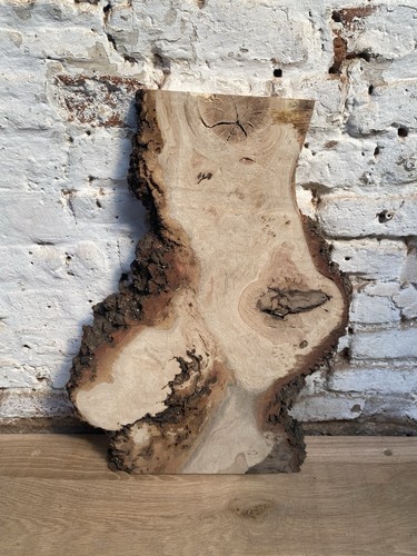 Waney edge live oak - edge,