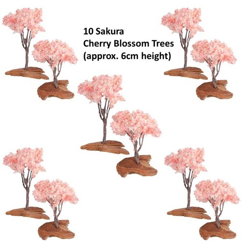 Miniature cherry blossom - cherry,