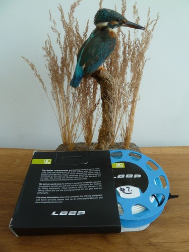 Loop evotec 140 floating - evotec, 7