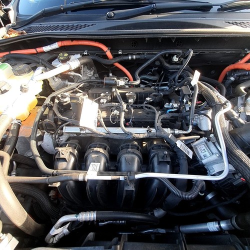 2019 2024 ford kuga - ford,