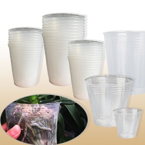 10x clear plastic orchid - clear,