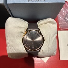 Skagen  SKW2346 Women's brown