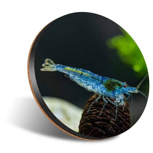 Round 12cm coaster blue - 1,