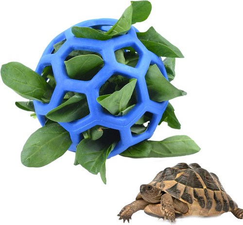 Tortoise treat ball fruit - treat,