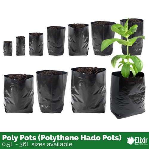 Black poly growbag - growbag, pots