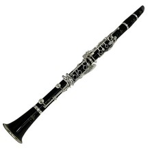 Buffet Crampon R13 SP Greenline Bb Clarinet w/ Selection Certificate Woodwind
