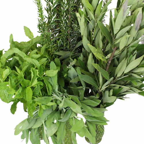 Herbs comfrey root - (comfrey, root-ginkgo
