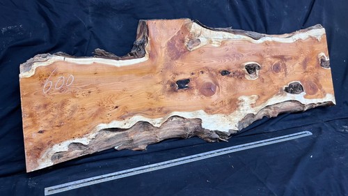 Pippy yew coffee table top - table,