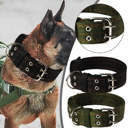 Heavy duty large dog collar - heavy,