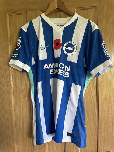 Brighton hove albion - hove,