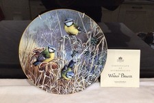 Coalport Winter Bluetit