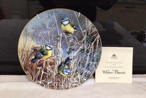 Coalport winter bluetit - winter,