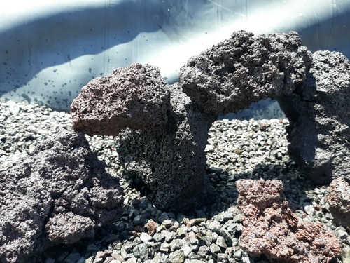 Lot aquarium fish rocks