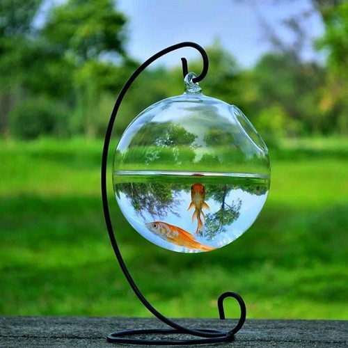 Home decoration fish tank - home,