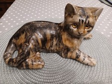 winstanley cat size 3, tabby