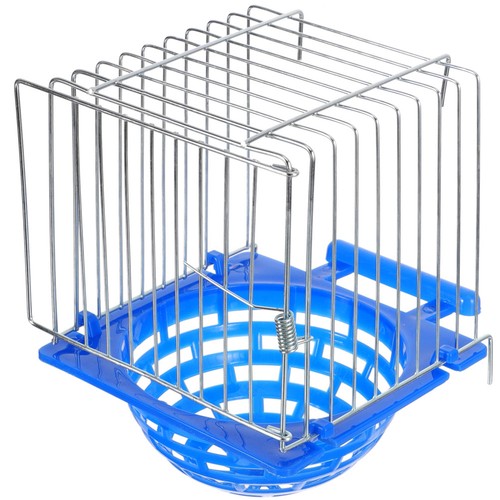 Bird nest hatching pigeon - bird,