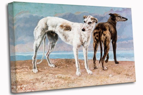 Greyhound dogs classic - greyhound,