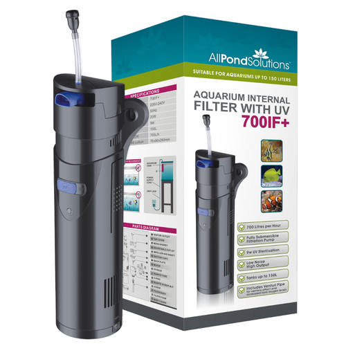 Aquarium fish tank internal - aquarium,