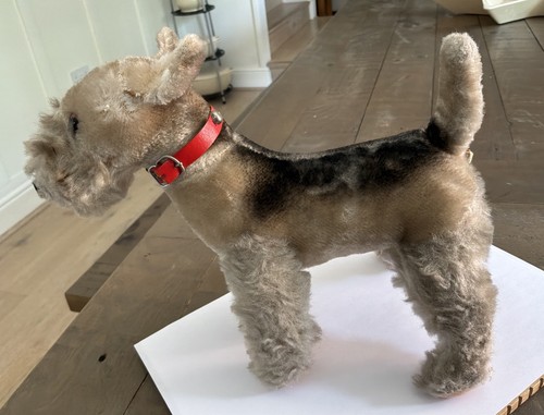 Antique vintage airedale fox - airedale,