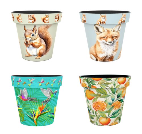 Zest decorative plant - plant, pot