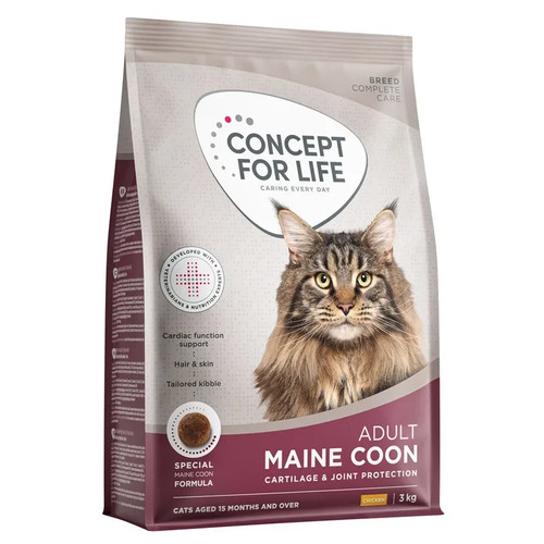 Concept for life maine coon - concept,