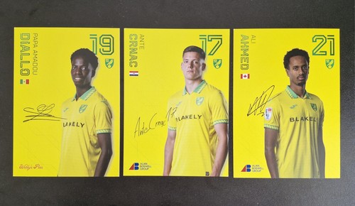 Norwich city 26 official - city,