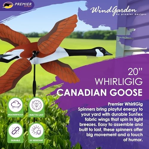 Whirligig spinner canadian - whirligig,