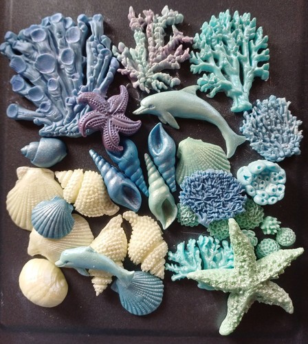 Coral shells starfish sea - 25,