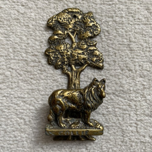 Antique collie dog - dog, door