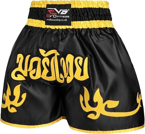 Evo muay thai - muay, cage