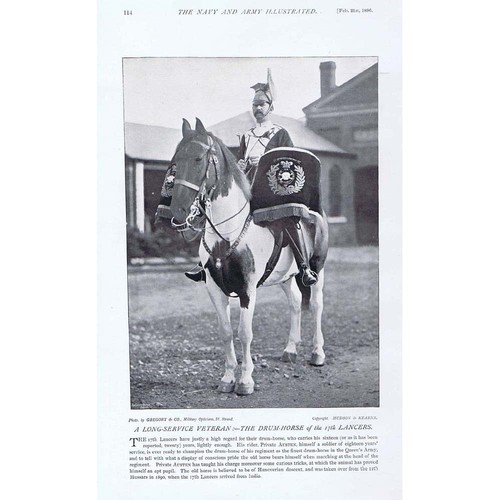 The drum horse - the,