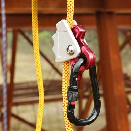 New tree arborist rock - new,
