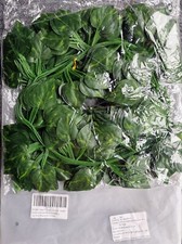 84 FOOT (12x7FT) ARTIFICIAL