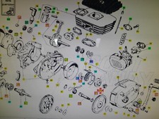 Gear Motor Malaguti Grizzly