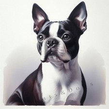BOSTON TERRIER Watercolour ART