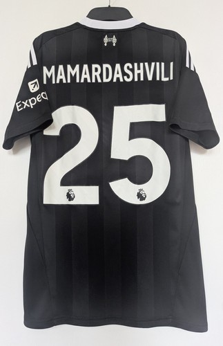 Bnwot medium mamardashvili - -,