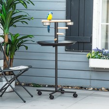 Bird Play Stand Portable