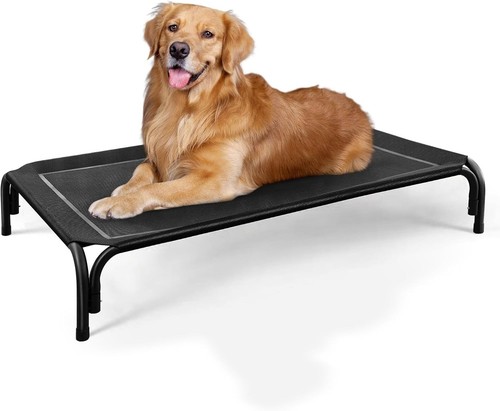 Elevated dog bed pet - elevated, cat