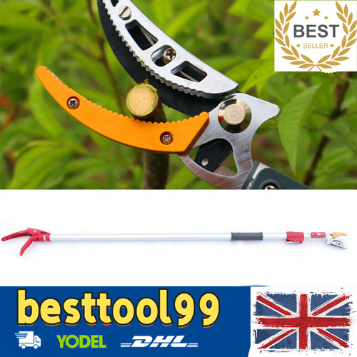 Tree pruner telescopic pole - tree,