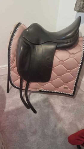 Amerigo vega dressage - 17",