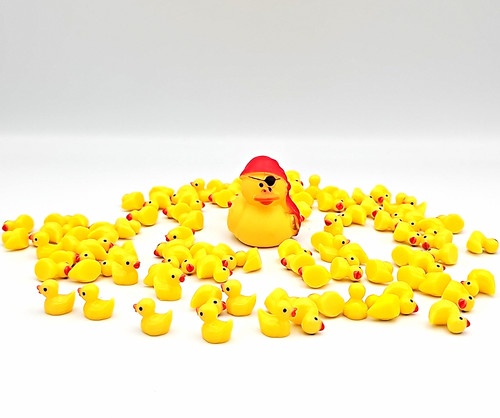 Plastic duck figurines bundle - plastic,