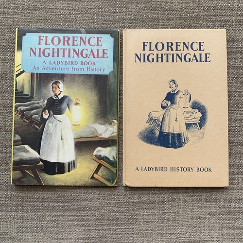 Vintage ladybird book - book,