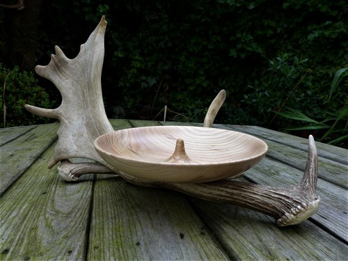 Wooden dish for - wooden,