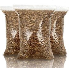 UK Dried Mealworms – Premium Quality, Freshly Prepared Daily - In Sealed Bag